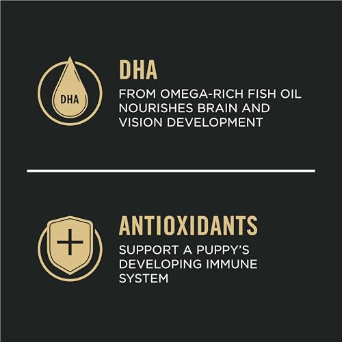 Purinaproplanhighproteinpuppyfoodshreddedblendchickenriceformula34lbbag Urban Country Home Decor Purina pro plan high protein puppy food shredded blend chicken rice formula 34 lb bag urban country home decor