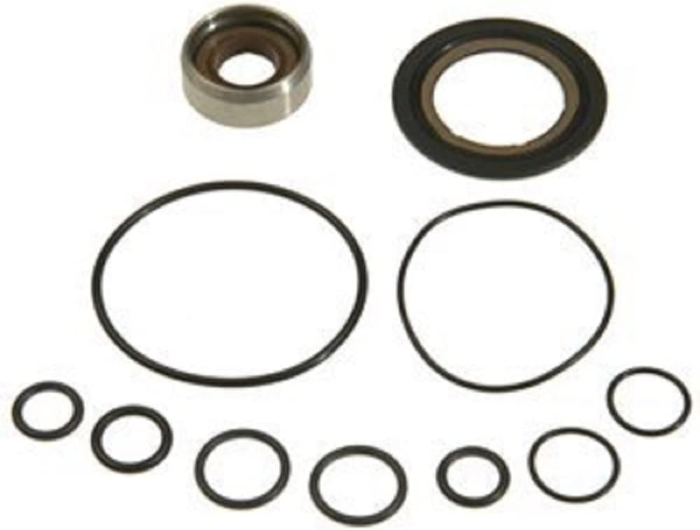 ACDelco Professional 36-348381 (19185847) Power Steering Pump Seal Kit with Bushing and Seals