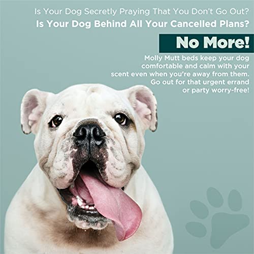 Molly Mutt Medium To Large Dog Bed Cover - Daysleeper Print - Measures 27”X36”X5’’ - 100% Cotton - Durable - Breathable - Sustainable - Machine Washable Dog Bed Cover #TOP4