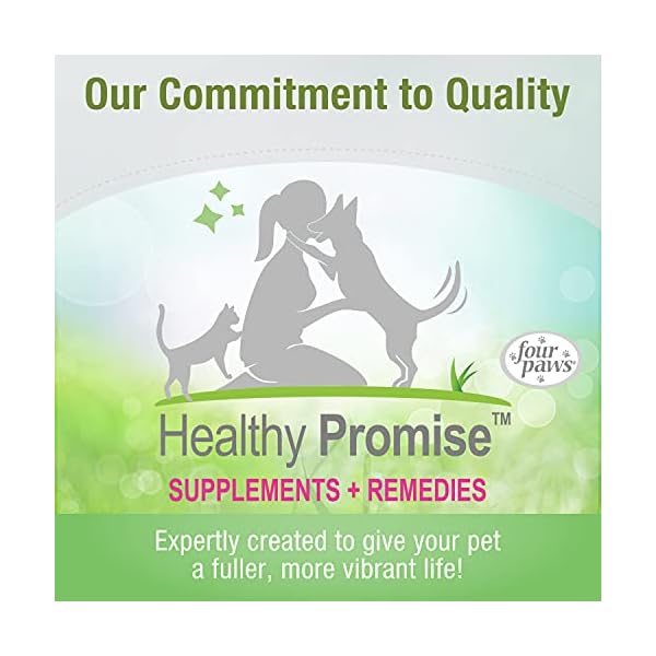 Four paws healthy promise easy feeder pet feeding syringe - image 9