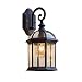 Produktbild Europäische Retro Outdoor wasserdichte Wandleuchten E27 Klarglas Regenschutz Wandleuchte Druckguss Aluminium Rostfreie Wandleuchte Balkon Villa Treppen Korridor Gartenleuchte