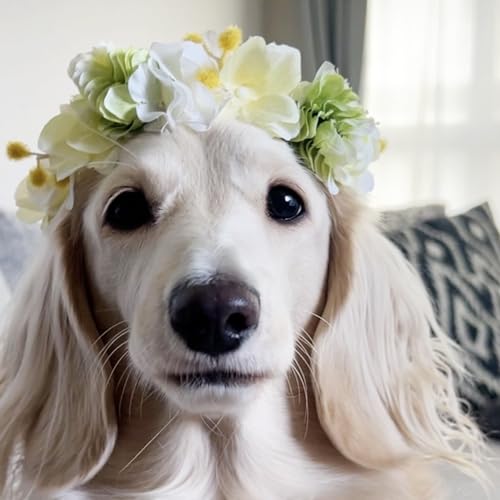 [llYfR]  Ԃނ   S hbO ANZT[ 3TCY ~UƃO[zbv̉Ԋ ڂ  wAANZT[ ANZT[ ybgp 񂿂 1Zbg (R[ςs, l(28cm))