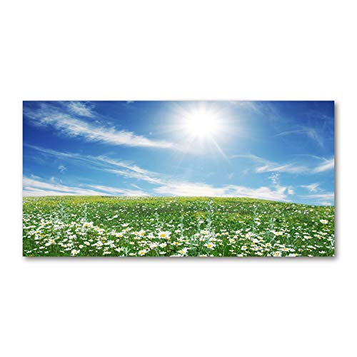Fond de hotte 100x50cm en verre trempé vert prairie paysage