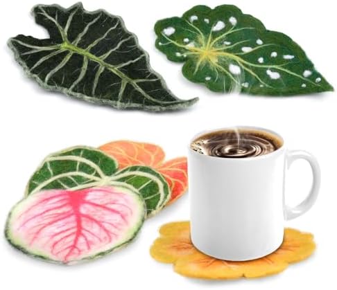 Needle Felting Kit, 6 Pack Plant Coaster Needle Felting Beginner Kits, Wool Felting Kit Including Wool Roving, Instructions,Felt Needles for Diy Felt Starters