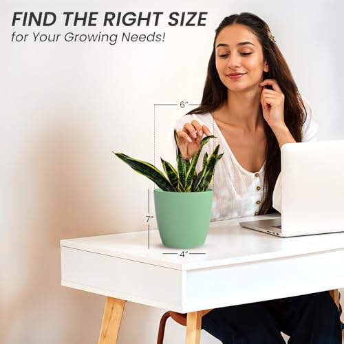 Image of YUCCABE ITALIA SHERA Stella 6 Inch Plastic Plant Pot for Home Decor Indoor Plant Pots for Living Room Plastic Flower Pot for Garden (Aqua, 6 INCH - 6 Pcs)