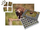 1000 pièces réparties dans 40 petites boîtes amovibles – en exclusivité chez puzzleYOU