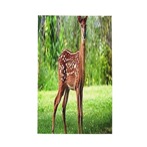 ワッフルキッチンタオルはマイクロファイバー製で、吸水性・速乾性・抗菌性に優れています(小さな鹿の赤ちゃんアニル)