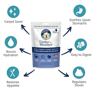 Underneath the Climate Simple to Digest Bland Weight loss plan for Sick Canines - At all times Be Prepared - Accommodates Electrolytes - Gluten Free, All Pure, Freeze Dried 100% Human Grade Meats - Turkey, Rice & Candy Potato Underneath the Climate Simple to Digest Bland Weight loss plan for Sick Canines – At all times Be Prepared – Accommodates Electrolytes – Gluten Free, All Pure, Freeze Dried 100% Human Grade Meats – Turkey, Rice & Candy Potato