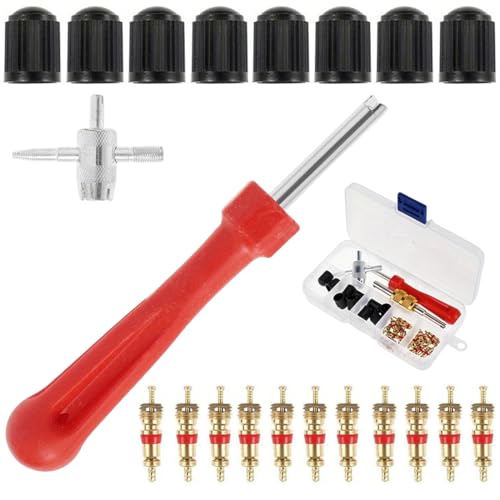 MUNZE Obus Valvula, 1 Llave + 1 Extractor 4 En 1 + 20 Tapas + 20 Obturadores Para Neumáticos, Herramienta Reparación Universal Para Coche Moto Bicicleta (Caja Transparente)
