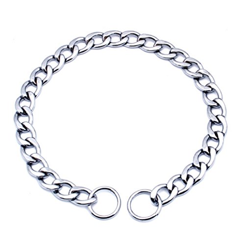 Sgoda Chain Dog Training Choke Collar, 20 In, 2.5 Mm #TOP3