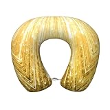 Anceky