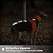 Whippet Mantel, Whippet Wintermantel Windhund Pullover Whippet Windhund Wintermantel Hundejacke für Windhunde Greyhound Winter Mantel