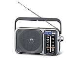 Panasonic Portable AM/FM Radio (RF-2400DGN-S)
