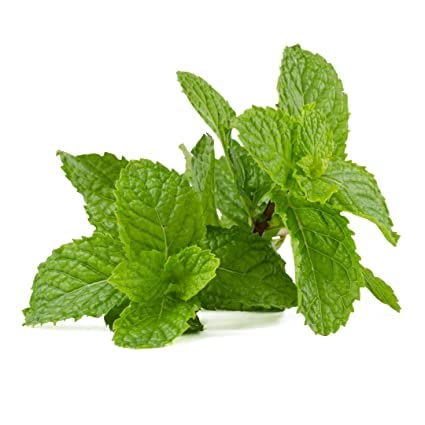 See full amazon price history chart for mint herbs seeds, home garden seeds, herbs seeds, kitchen garden seeds, hybrid seeds indoor & outdoor seeds organic and natural easy to grow with germination mint herbs seeds, home garden seeds, herbs seeds, kitchen garden seeds, hybrid seeds indoor & outdoor seeds organic and natural easy to grow with germination (B0BHNZ8R9Z) Amazon Price History, Amazon Price Tracker