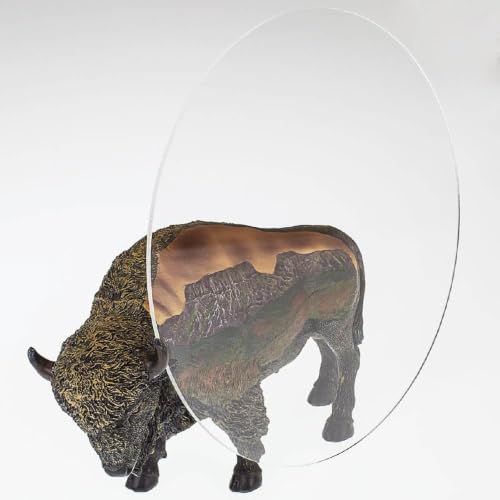 Image of Clear Acrylic Plexiglass Lucite Circle Round Disc Every Thickness and Diameter Available