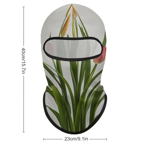 Balaclava para hombre y mujer, máscara para esquí, cubreboca completo para ciclismo miniatura 2