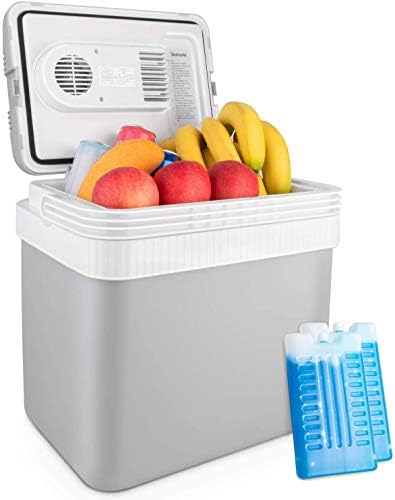 AstroAI 24 Litre Cool Box Portable Thermoelectric Electric Car Cooler for Beverage, Beer, Wine, Seafood, Fruits, Home and Travel with 2 Ice Packs (Grey)