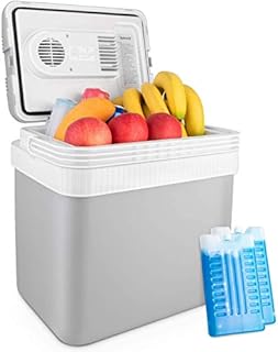 AstroAI 24 Litre Cool Box Portable Thermoelectric Electric Car Cooler for Beverage, Beer, Wine, Seafood, Fruits, Home and Travel with 2 Ice Packs (Grey)