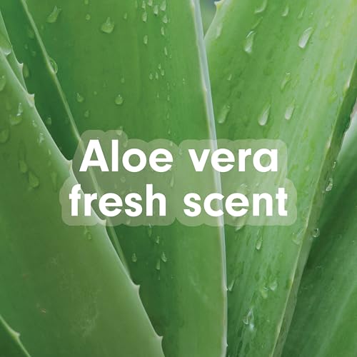 Image of Softsoap Soothing Clean Liquid Hand Soap with New Easy Pour Spout, Kitchen and Bathroom Hand Soap, Aloe Vera Fresh Scent, 50 fl oz Refill (Pack of 2)
