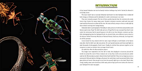 Strange Nature: The Insect Portraits of Levon Biss - Image 8