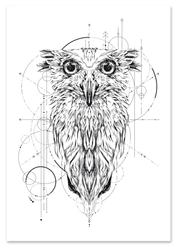Affiche hibou géométrique noir blanc : décoration salon élégante format 50x70
