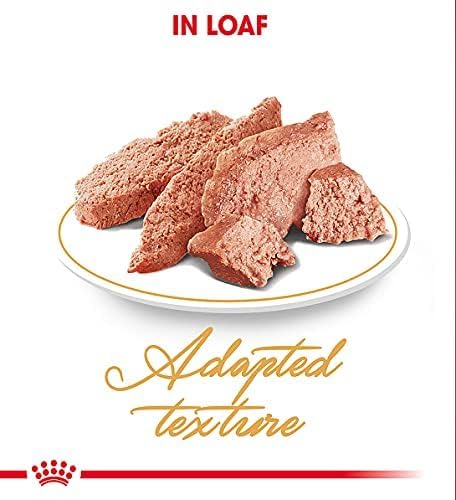 Image of Royal Canin Persian Adult Cat Wet Food, 85 Gram (Pack of 36), red
