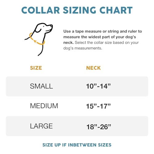 Durable Nylon Dog Collars For Large Dogs Reviews