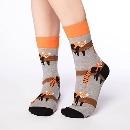 Good Luck Sock Women's Red Panda Socks, Adult, Shoe Size 5-9