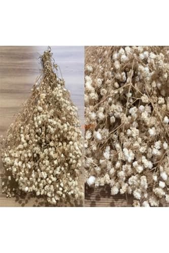 Ramo de flores secas Gypsophila crema miniatura 1