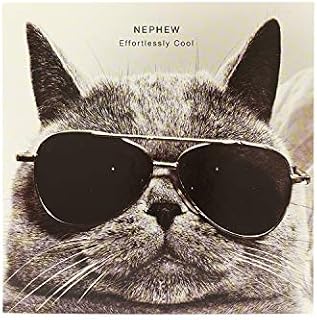 Nephew Birthday Card - Funny Birthday Card - Birthday Card for Him - Photographic Cat Design