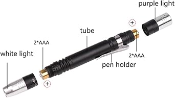 POCKETMAN Torch Detector for Testing Purple White mini UV Flashlight 395nm 2-in-1 UV LED Flashlight Black Light 2 Light Source [Energy Class F]