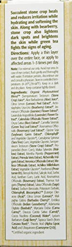 Eminence Stone Crop Serum For Unisex 1 oz Serum, Brown - Image 3