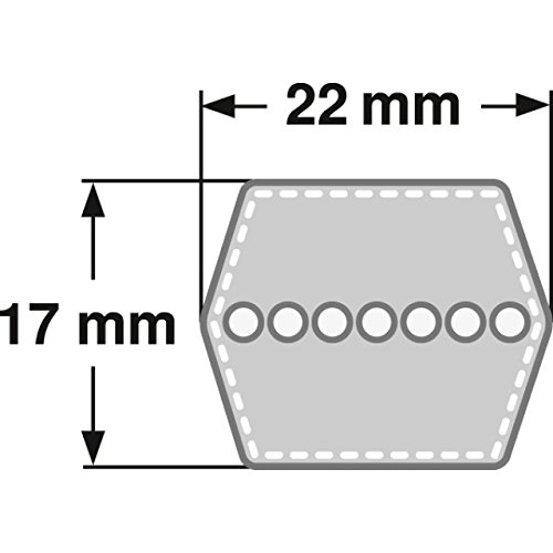 6 cinghie trapezoidali – Cinghia trapezoidale doppia CC 240 – HCC 6150 mm