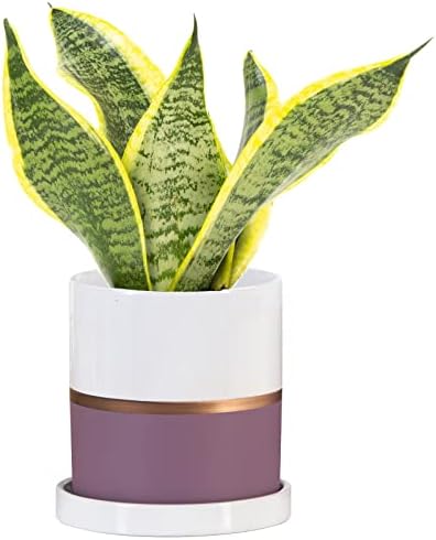 Ekirlin 4 inch Plant Pot - Ceramic Flower Planters Indoor - Modern Succulents Containers with Drain Hole Saucer, Decorate Home, Office & Outdoor (Purple)