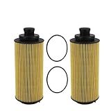 2 Pieces Engine Oil Filter with O-Ring Kit for Chevrolet Trailblazer 2012 2013 2014 Holden Colorado