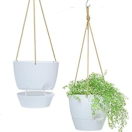 10 Inch Self Watering...