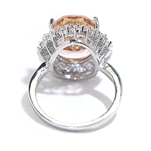 925 Sterling Silver Shiny Full Diamond Gemstone Ring Cubic Zirconia Rings CZ Diamond Champagne Ring Eternity Engagement Wedding Band Ring for Women (US Code 10)4