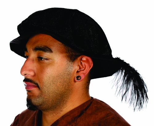 Alexanders Costumes Renaissance Hat with Feather, Black, One Size