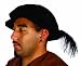 Alexanders Costumes Renaissance Hat with Feather, Black, One Size
