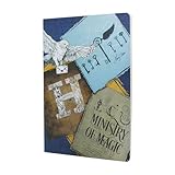  HARRY POTTER Cahier Moments de Magie A4 LIG. 80p.