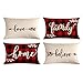Fundas de cojín decorativas de lino impermeables de 30 x 50 cm, fundas de almohada rectangulares geométricas para jardín, patio, sala de estar, sofá, paquete de 4 (#02)