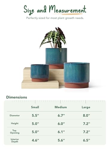 Image of LE TAUCI Ceramic Plant Pots with Drainage Holes, Set of 3, 8+6.7+5.5 Inch Stripe Garden Planter Pots for Outdoor Indoor Plants Flower, Round Succulent Orchid Flower Pot, Reactive Glaze Green