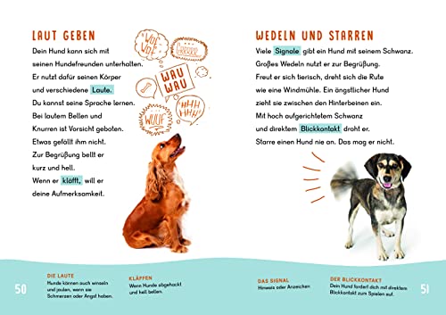 Dein Lesestart - Hunde: Lesen - Verstehen - Wissen (Band 5) Für Kinder ab 7 Jahren (Dein Lesestart – ab Klasse 2)