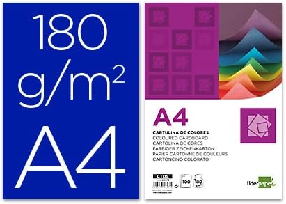 liderpapel CT06 – Pack of 100 Card