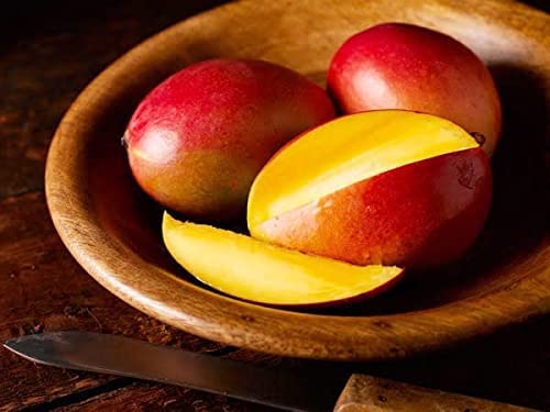 WinWood Pusa Manohari Mango Live Plant Grafted Variant (B09TPFTHYT) Amazon Price History, Amazon Price Tracker