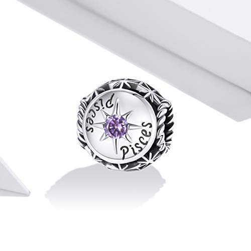 Image of 12 Constellation Charms 925 Sterling Silver Crystal Zircon Charms Family and Friends' Birthday Charm Birthstone Charms for Women Bracelets