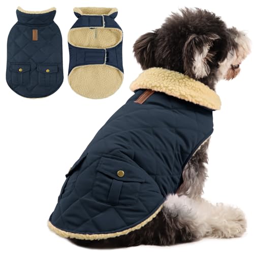 Queenmore Wintermantel Hund Wasserdicht Hundemantel Winter Kleine Hunde Warme Fleecemantel Hundejacke Quilten Hundebekleidung Hundepullover Für Dackel Chihuahua Pudel Bulldogge Beagle, Blau, S Queenmore Wintermantel Hund Wasserdicht Hundemantel Winter Kleine Hunde Warme Fleecemantel Hundejacke Quilten Hundebekleidung Hundepullover Für Dackel Chihuahua Pudel Bulldogge Beagle, Blau, S