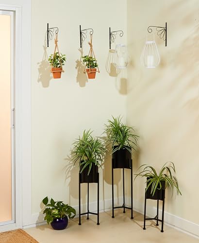 Image of Amazon Brand - Solimo Plant Hanger Brackets Wall Mounted Metal Hanging Hooks /Holder for Indoor Outdoor Planters (Black, Set of 4)