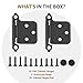 SORGMACH Self Closing Matte Black Kitchen Flush Cabinets Door Hinge 10 Pair 2-1/8