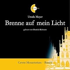 Page de couverture de Brenne auf mein Licht